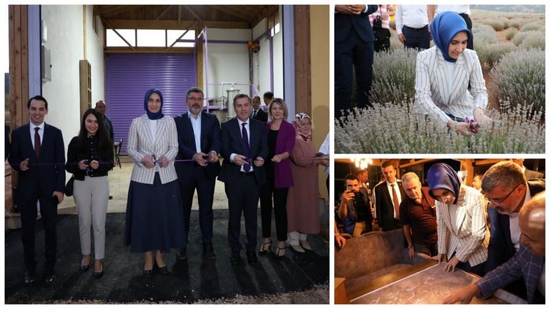Dinar’da 2. Lavanta Hasat Şenliği gerçekleştirildi