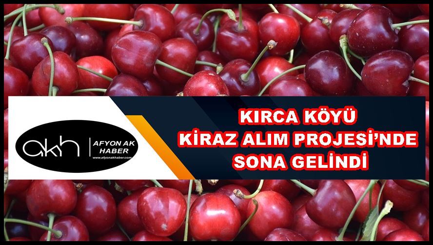 Kırca Köyü Kiraz Alım Projesi’nde sona gelindi