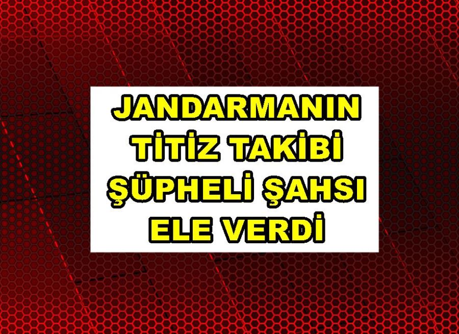 Jandarmanın titiz takibi şüpheli şahsı ele verdi