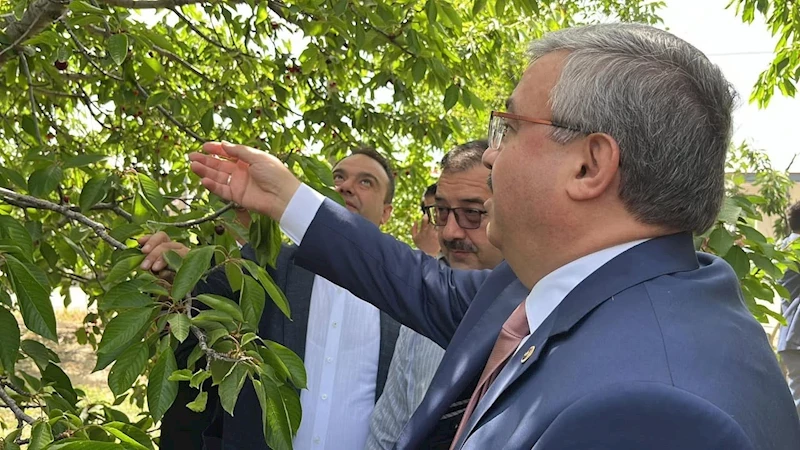 Afyonkarahisar