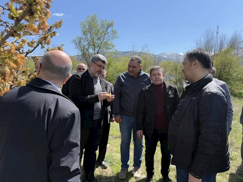 Afyonkarahisar