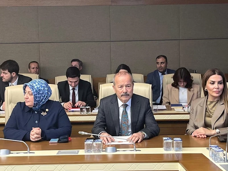 Afyonkarahisar Milletvekili Taytak, TBMM Dilekçe Komisyonu