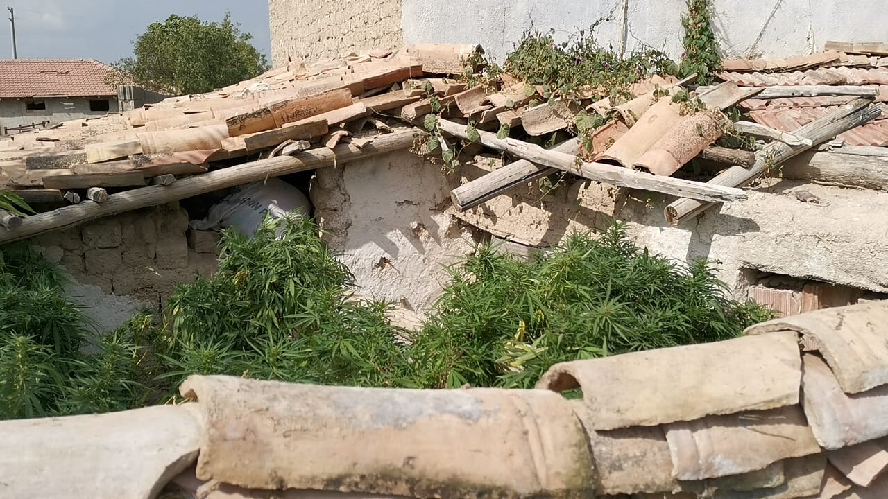Jandarma ekiplerinden başarılı operasyon